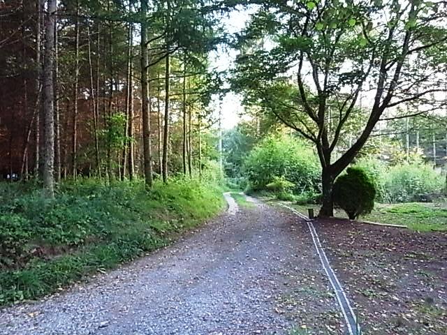 R0011775.JPG