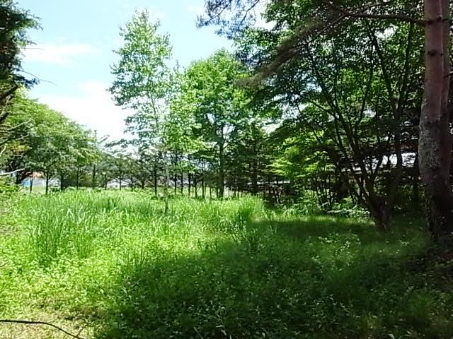 R0013436.JPG