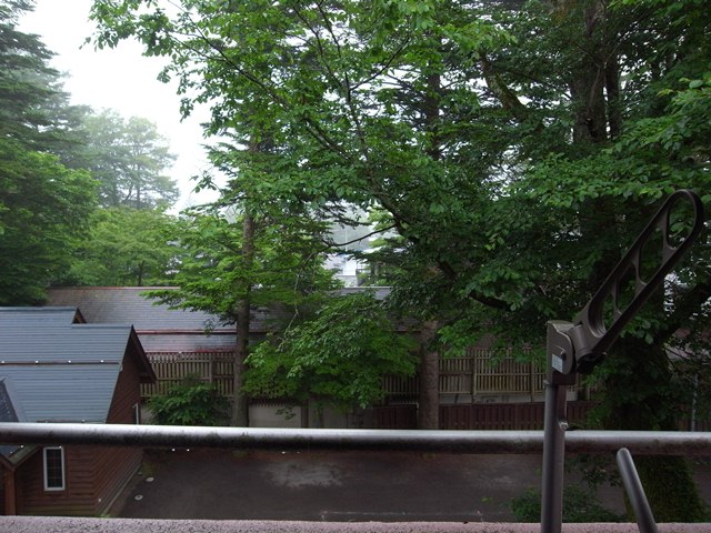 R0015494.JPG