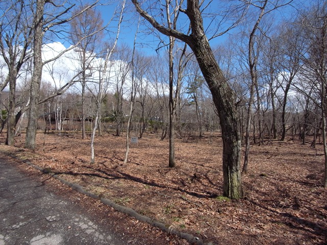 R0016782.JPG